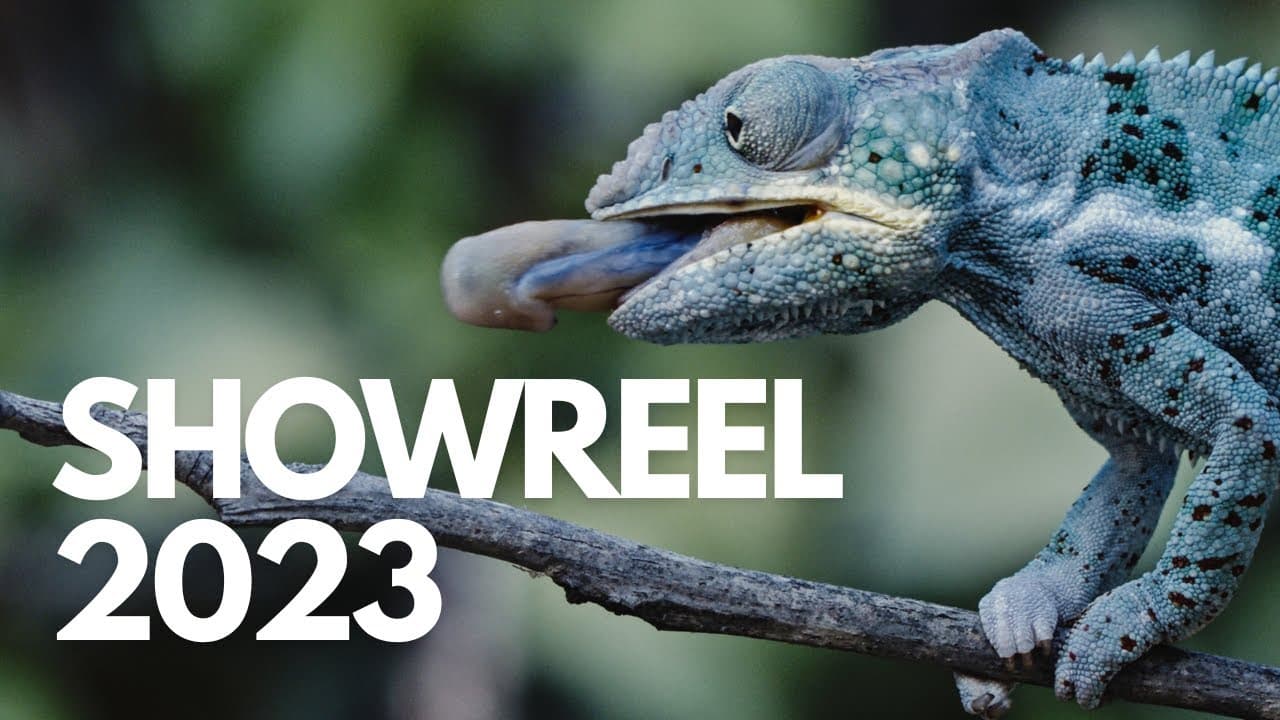 Showreel 2023
